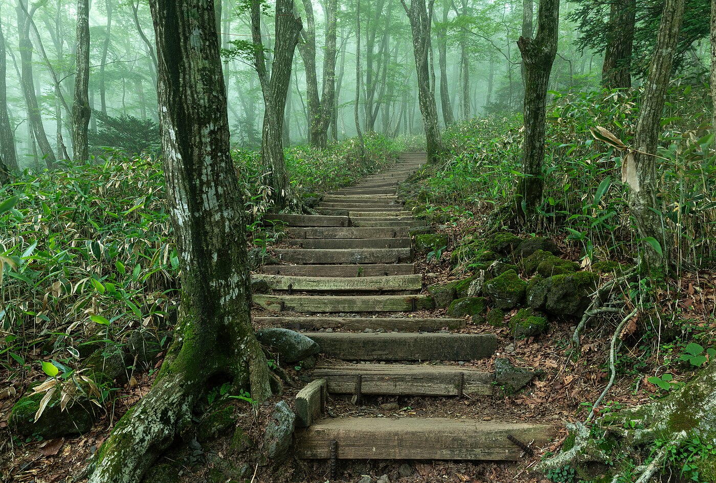 Wooden staircase steps in the forest of Hallasan Park Eorimok Trail 